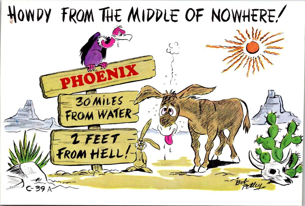 Howdy From The Middle of Nowhere Phoenix AZ Vintage Postcard SP10-17